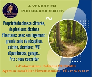propriete à la vente -   33000  BORDEAUX, surface 360 m2 vente propriete - UBI372786592